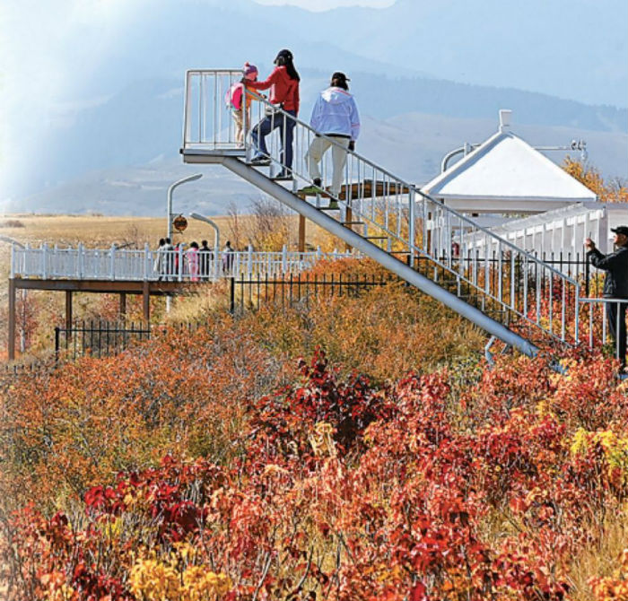 QQ图片20231117113028